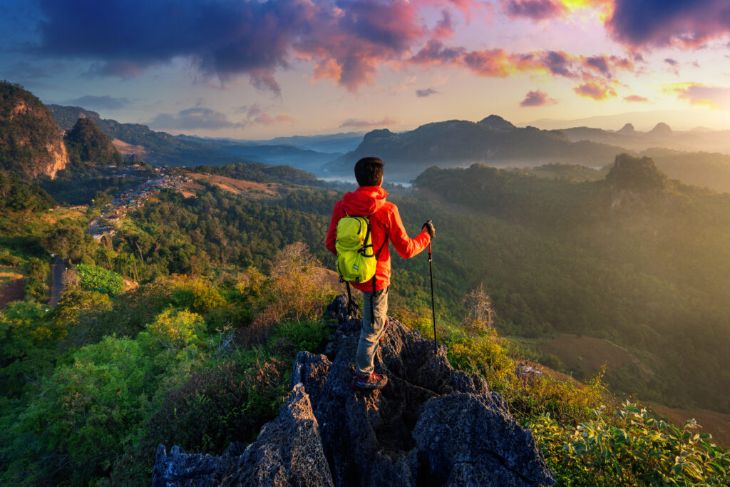 kerala travel partner